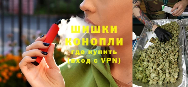 сатива Алексин