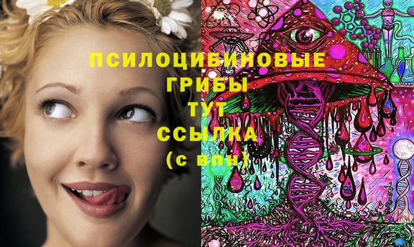 сатива Алексеевка